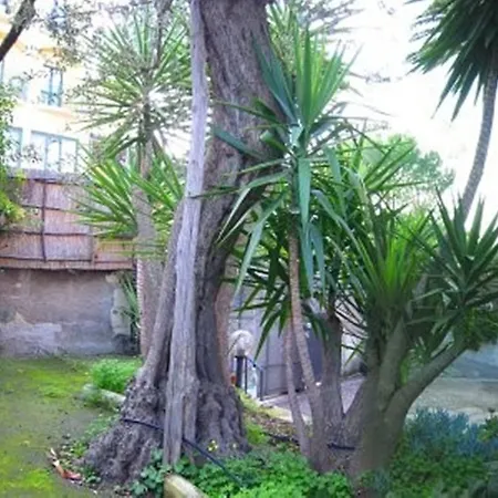 Orchidea Apart Otel Sorrento